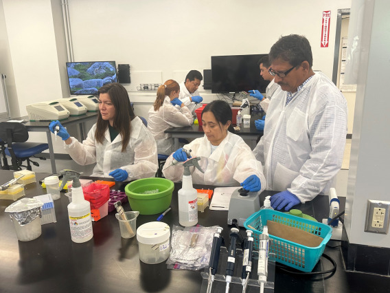Image of people in lab coats performing experiments