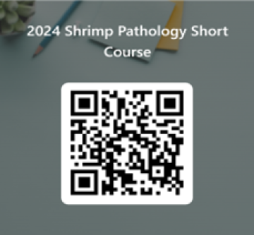 QR code for 2024 Short course